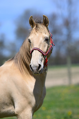 JRG_0803