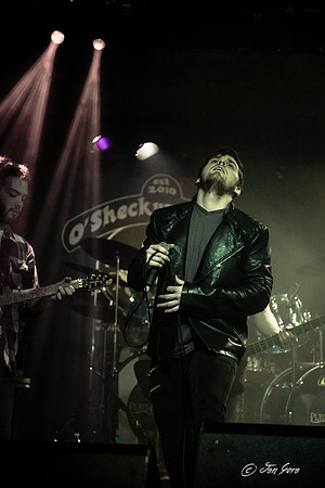 PlainOldHenry20150403-12
