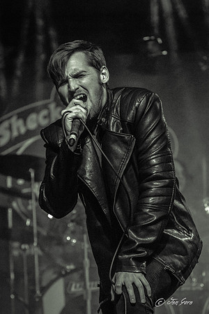 PlainOldHenry20150403-28