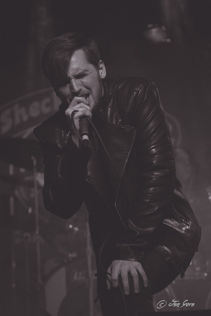 PlainOldHenry20150403-29