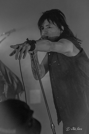 LAGuns20150403-1111