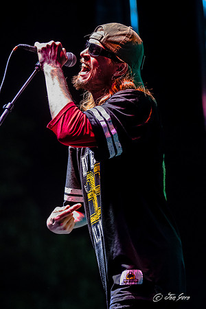 IMG_3793-11