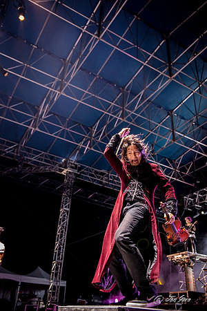 Skillet (13)