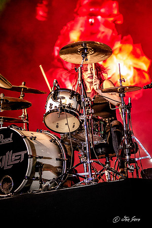 Skillet (24)
