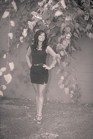 _JEN3146