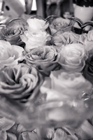 GRJ_0204-2