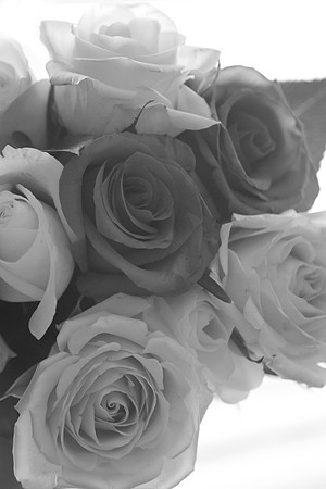 _JEN1895-2