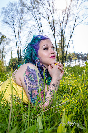 _JEN2299