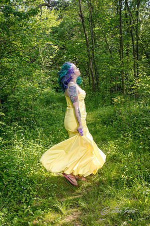 _JEN2241