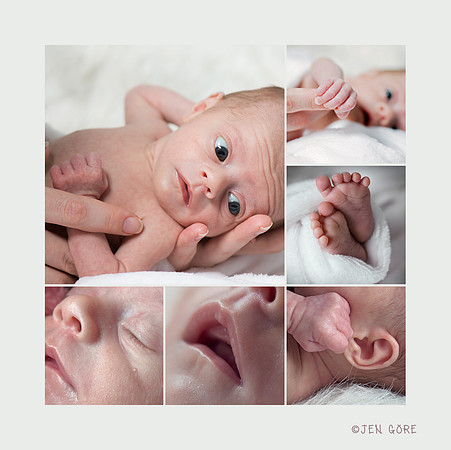 babypartscolorwm