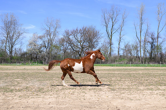 JRG_0854